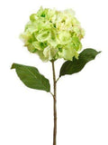 Lime Hydrangea Spray 12 Pieces F64446