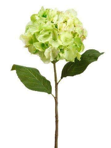 Lime Hydrangea Spray 12 Pieces F64446