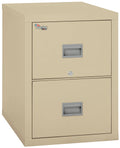 Fire Resistant 2 Drawer File Cabinet D1642