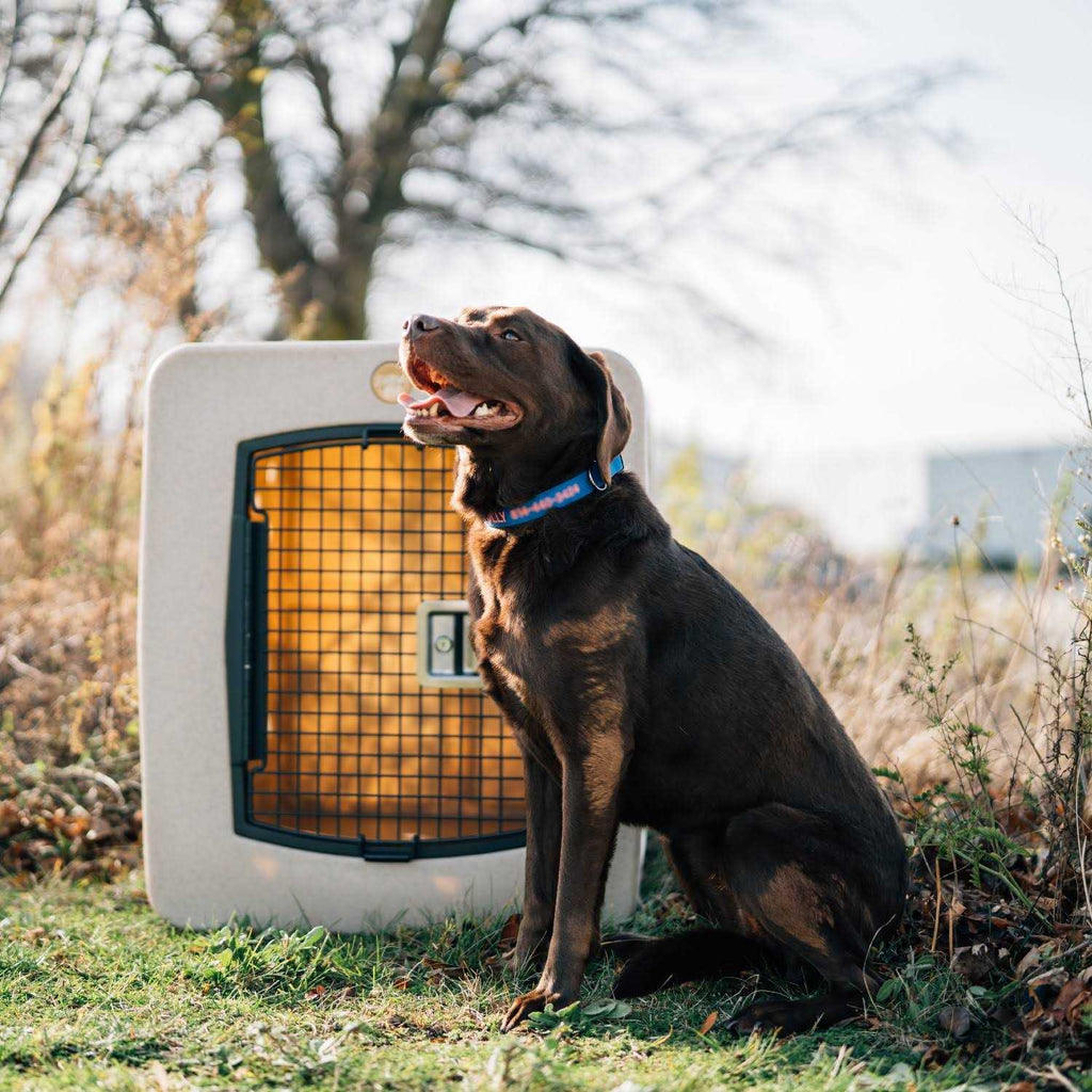 Framed Door Kennel N74685