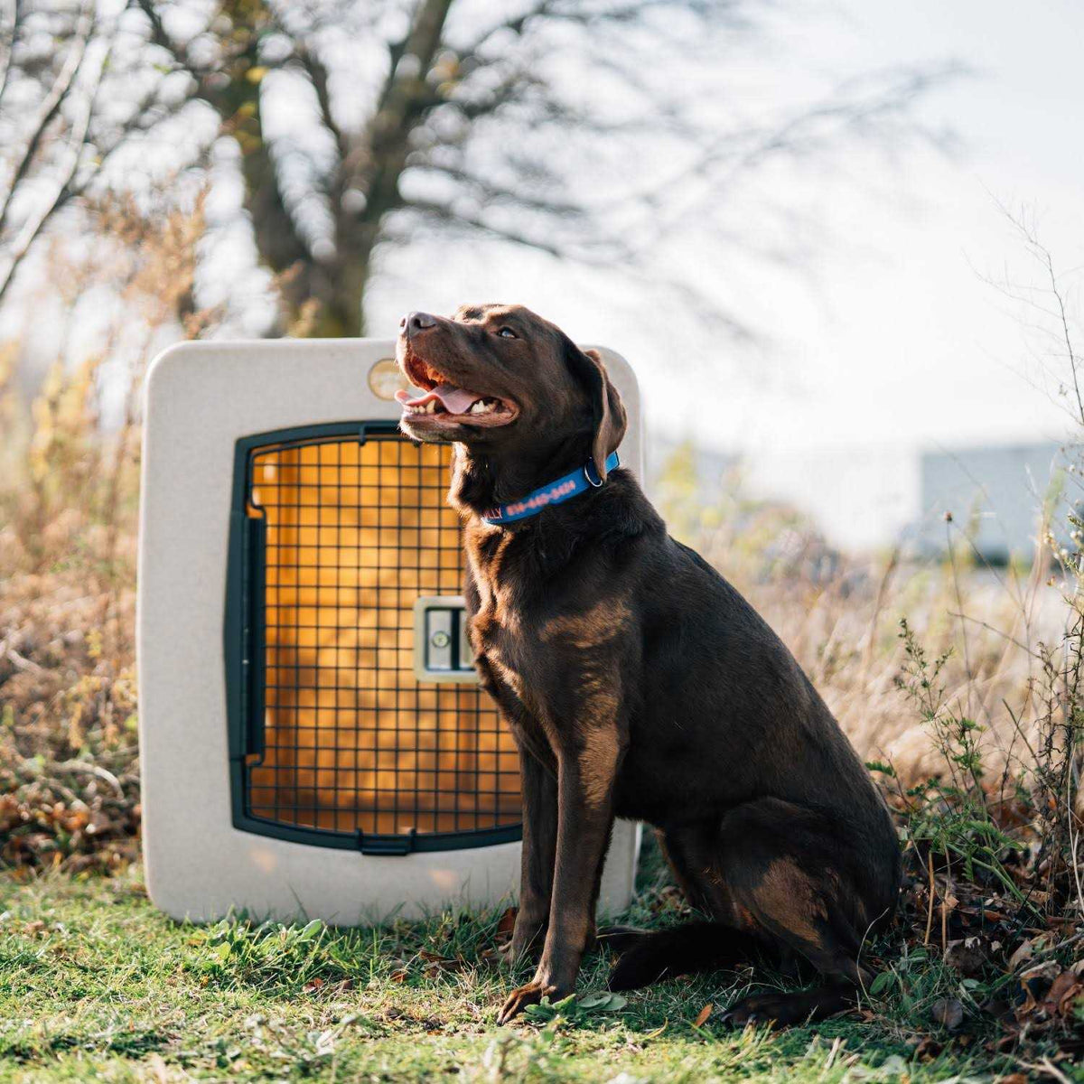 Framed Door Kennel N74685