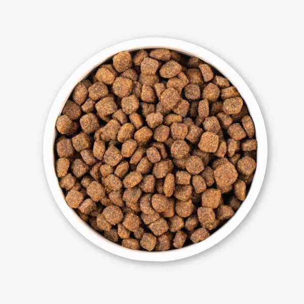 Grain Free Dry Dog Food J1388
