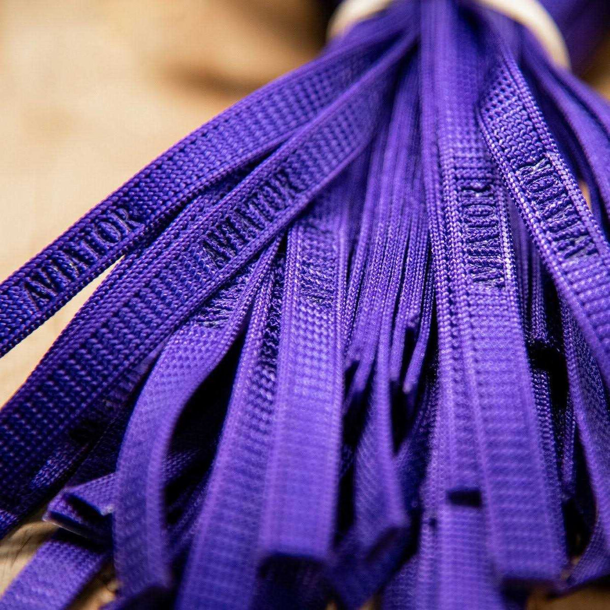 Bird Harness and Leash P752387