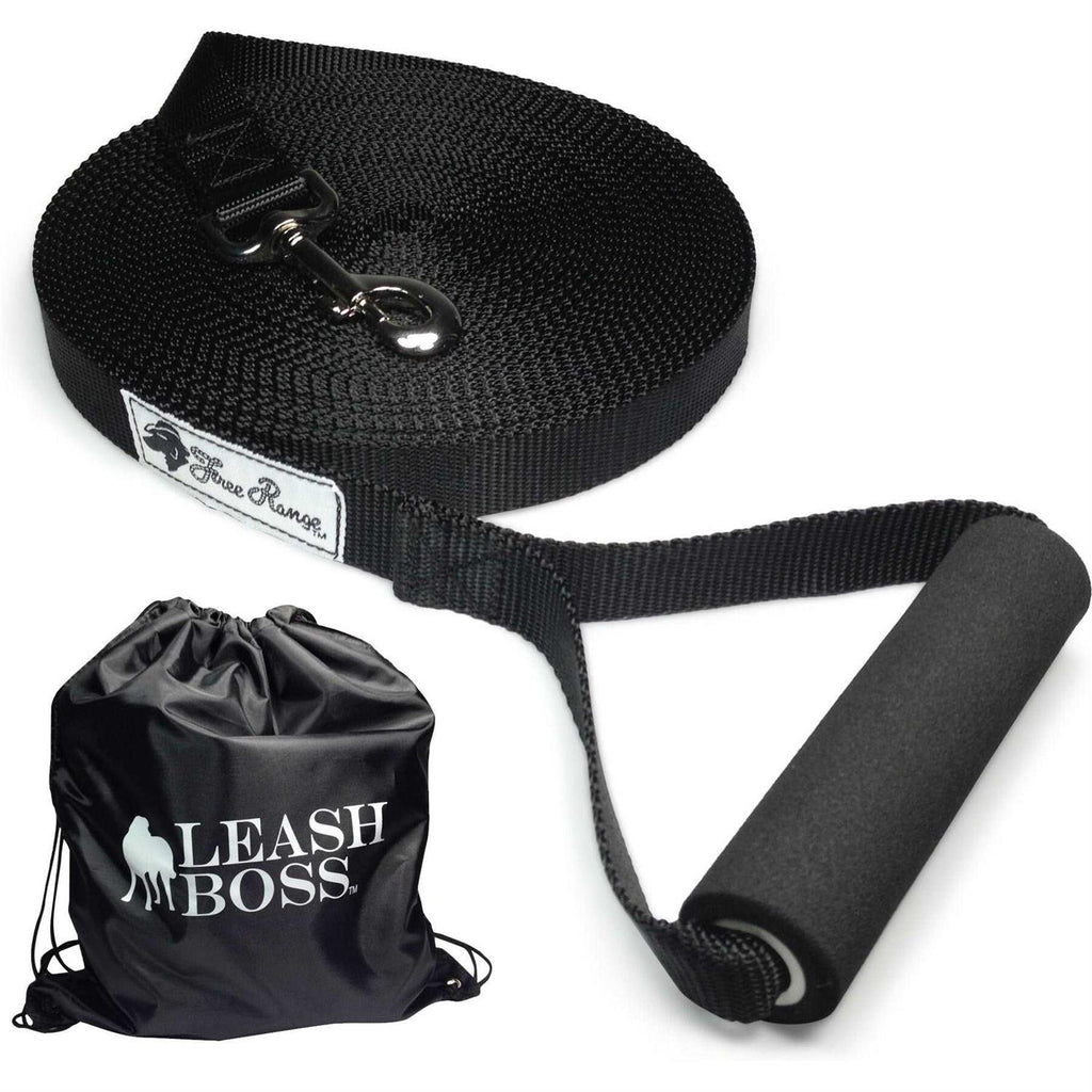 Dog Leash A498840