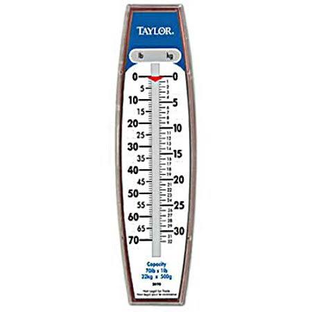 Industrial Hanging Scale 27 Pound X13333