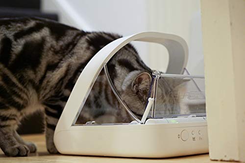 Microchip Automatic Pet Feeder for Wet and Dry Food B952