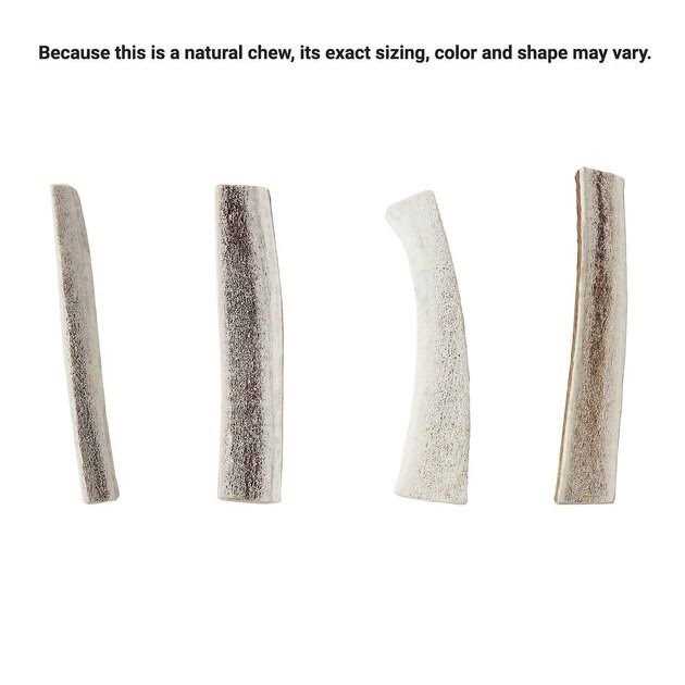 Elk Antler Split Dog Chew B930982