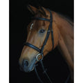 Black Padded Raised Cavesson Bridle F617329