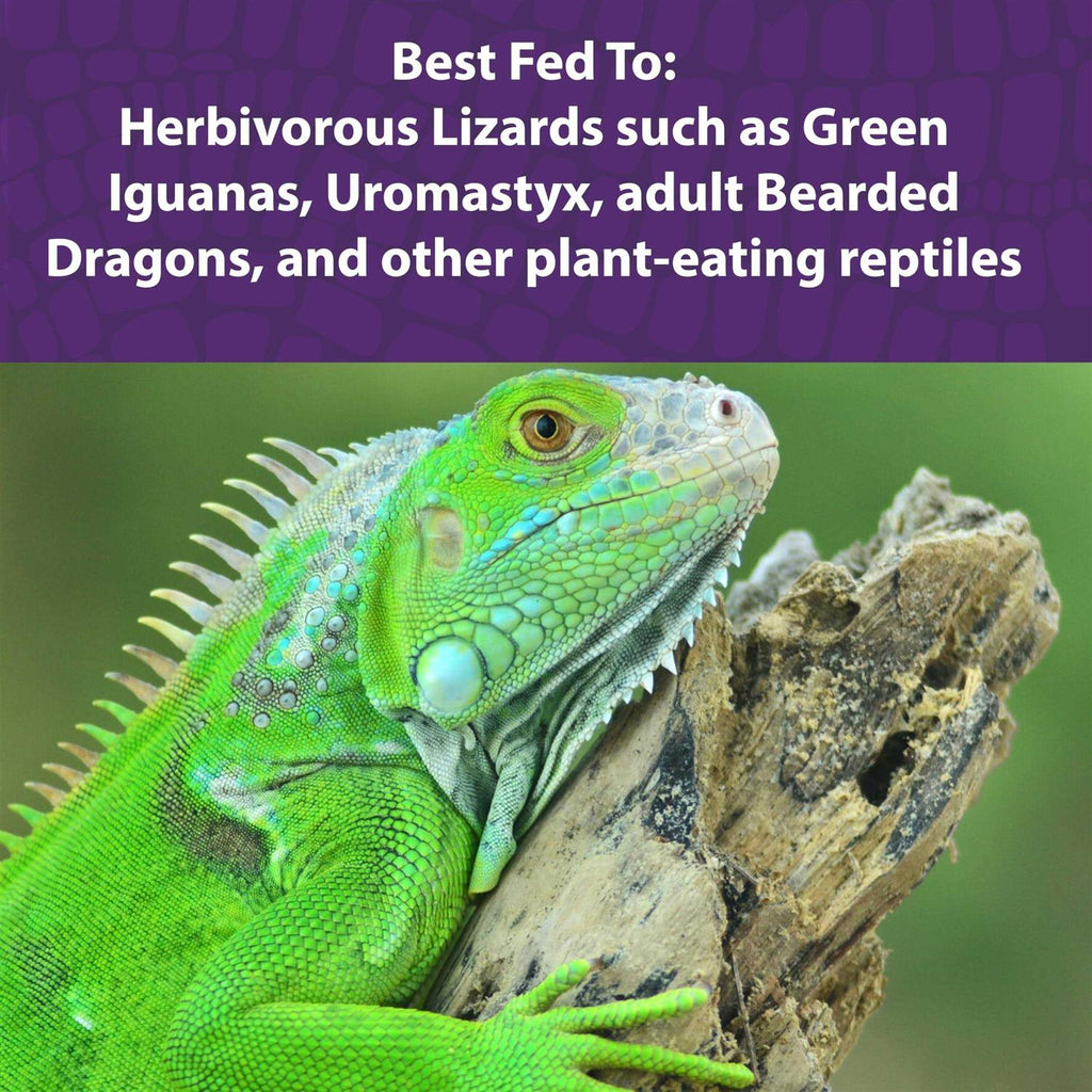 Herbivorous Reptile Diet J3905
