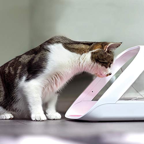 Microchip Automatic Pet Feeder for Wet and Dry Food B952