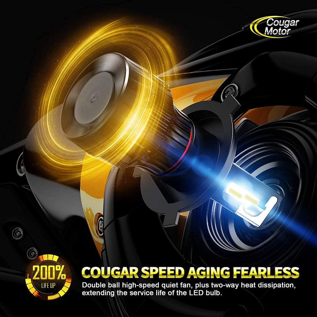 X-Small H4 LED Bulb, 6500K Cool White, Pack of 2 V59819