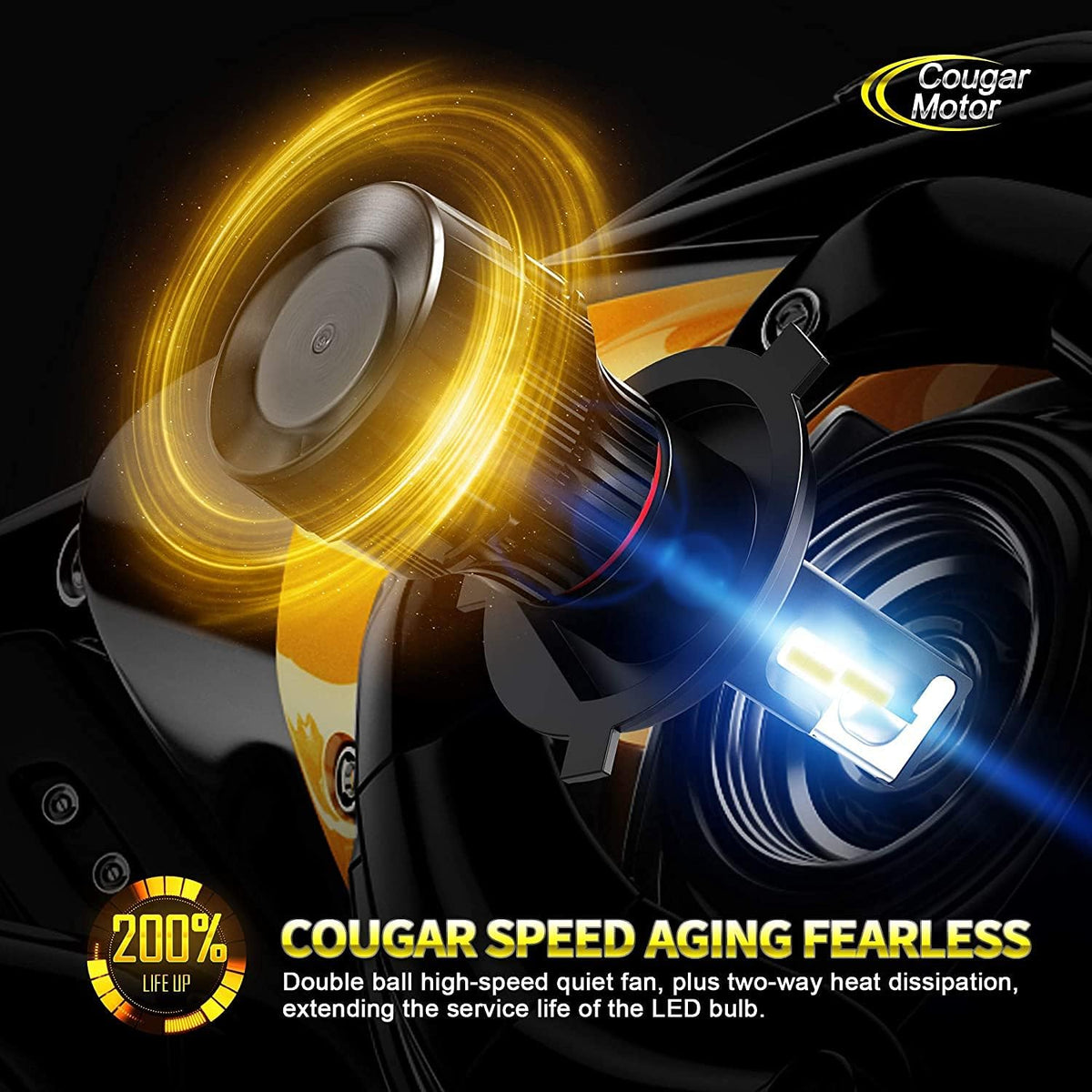 X-Small H4 LED Bulb, 6500K Cool White, Pack of 2 V59819