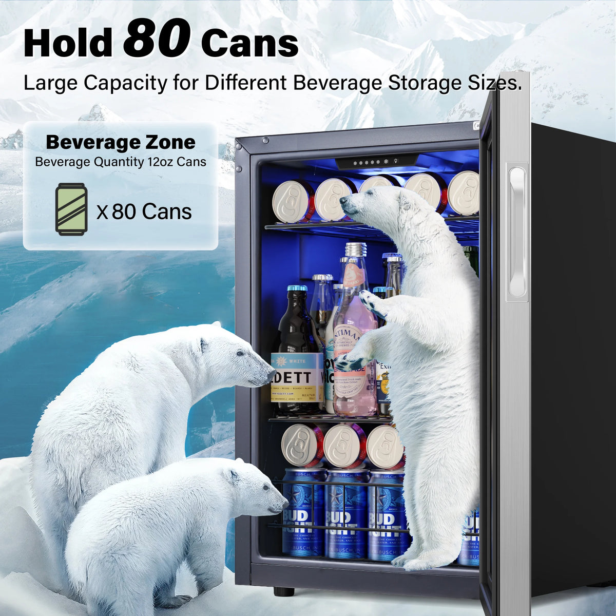 77-80 Can Mini Beverage Cooler with Glass Door H510