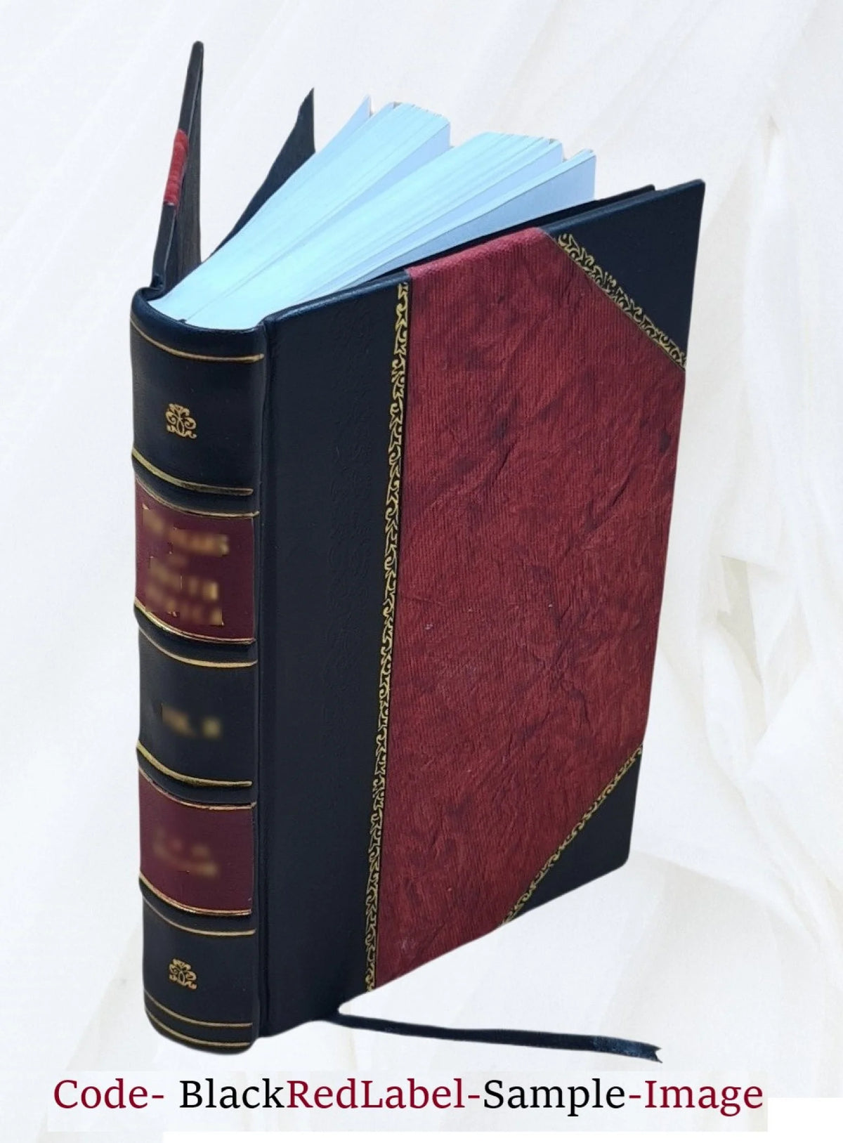 Antiquarian Architecture Specimens T9503