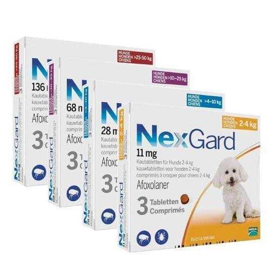 Medium Dogs 10-25Kg Chews H543